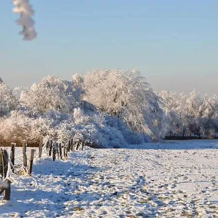 Alt Monjoie 로에트겐