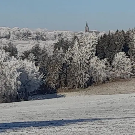 アパート Alt Monjoie レートゲン