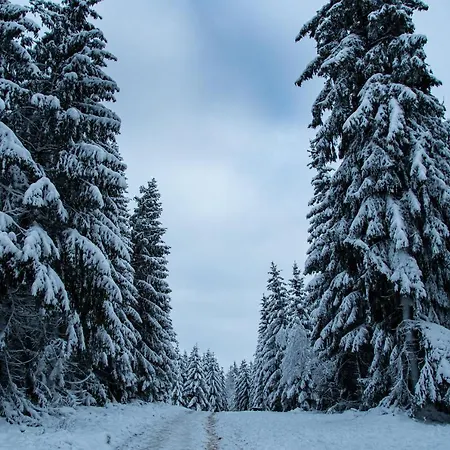 Alt Monjoie * 로에트겐