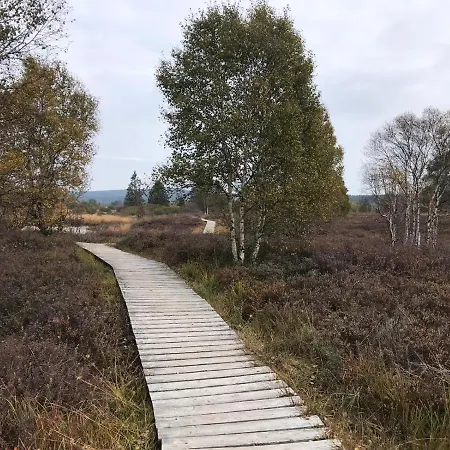 Alt Monjoie 아파트 로에트겐