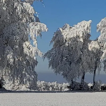 Alt Monjoie レートゲン