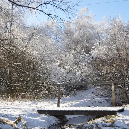 Alt Monjoie 아파트 *