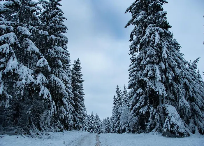 Alt Monjoie * Roetgen